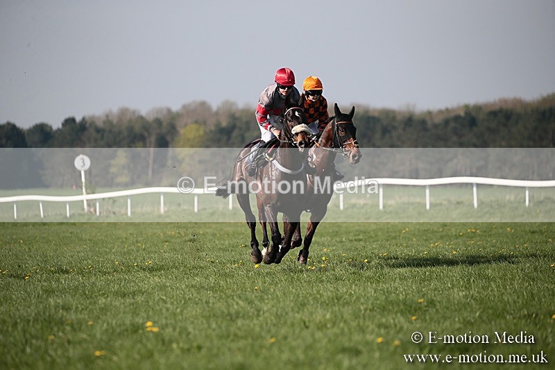 PtP 210418 496 - South & West Wilts Point-to-Point Larkhill 21/04/18