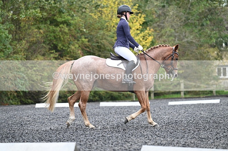 WJ7_3687 - Time 11:04 to 11:38