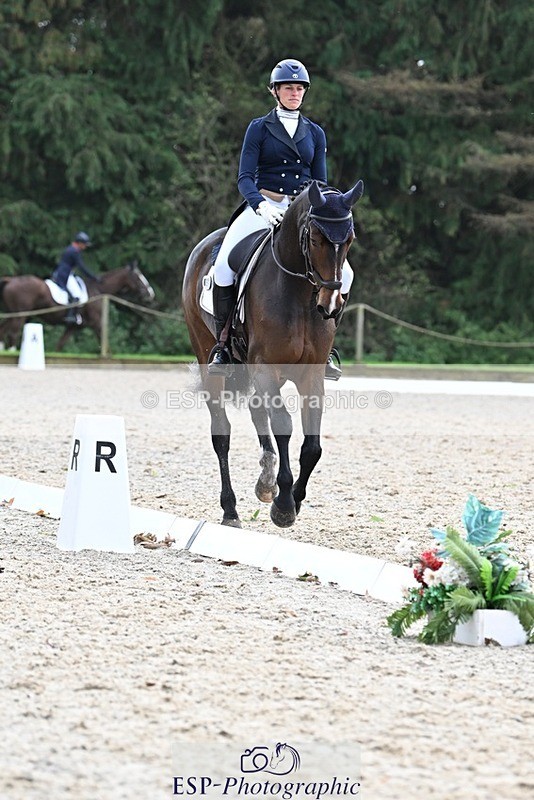 231019-145254-04298 - 057-OVERTON.TILANA'S.GOLD-Claire.Deuten-DR