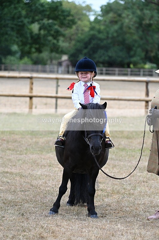WJ7_8604 - Class 4 Prettiest Mare up to 14.2hh