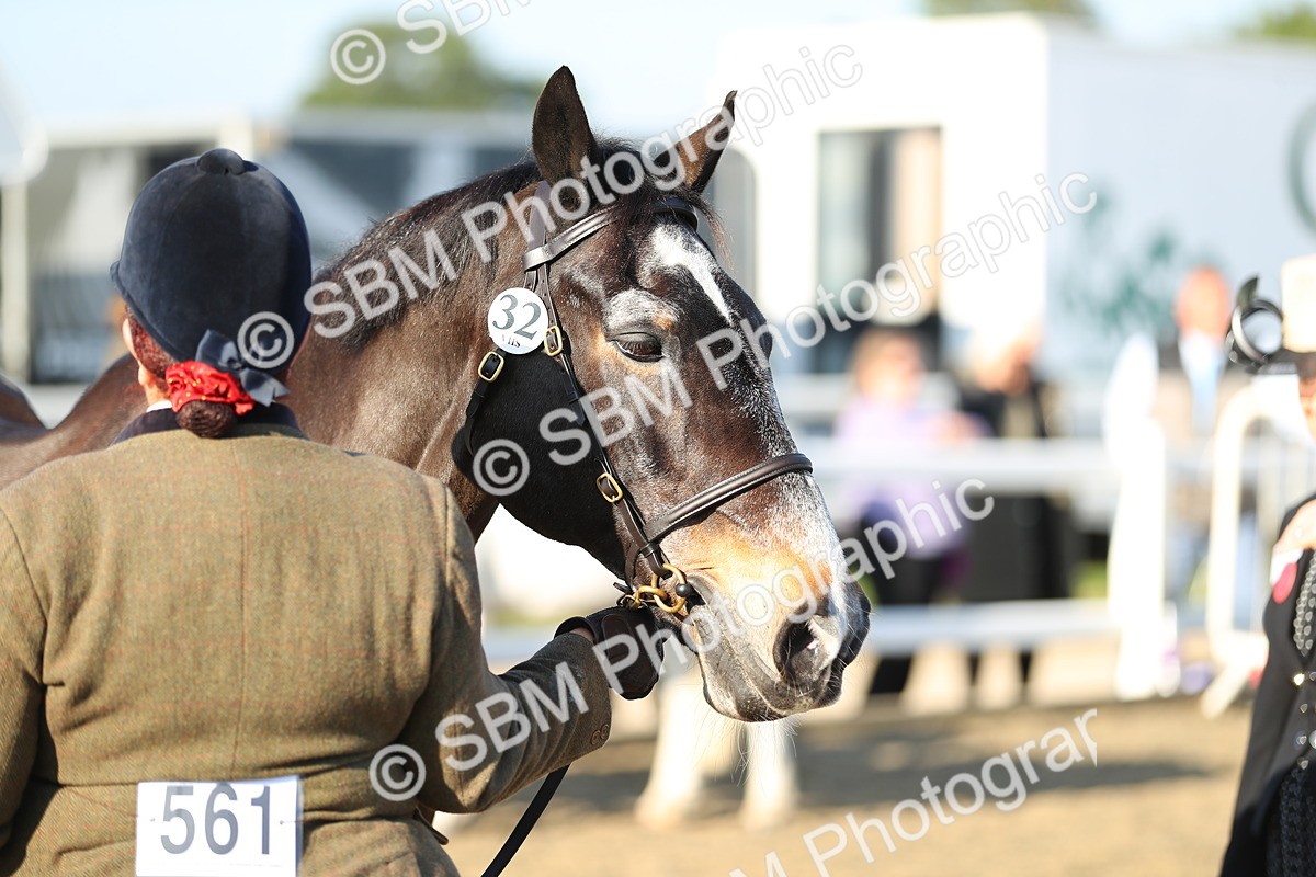 SBM_00023 - Class 40 Best Turned Out IH