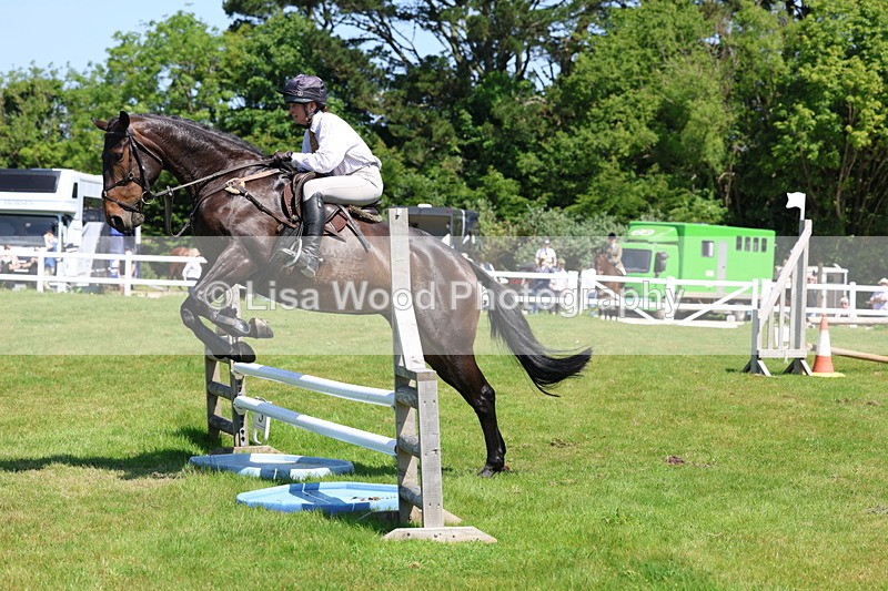 3E7A7055 - Class 30: Novice Working Hunter