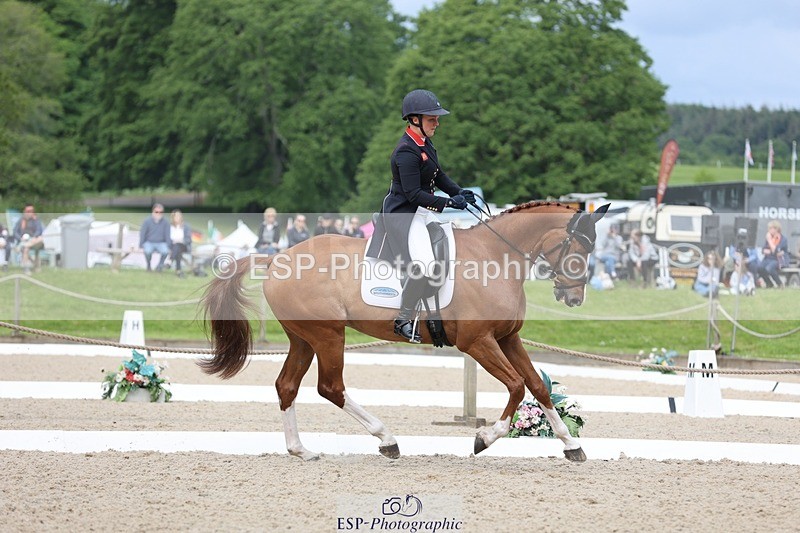 240524-103708-07459 - 263-CHILLI_MORNING_IV-Gemma_Stevens