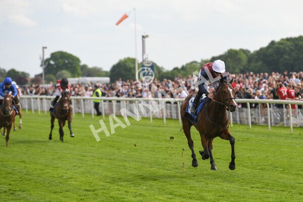 yr21052022r5-19 - Race 5: 4:07pm Phoebe Johnson Celebration EBF Restricted Novice Stakes