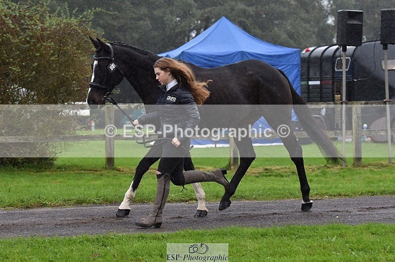 231018-120102-00036 - 004-CARTOON.HERO-Sophie.Wildern-TrotUp