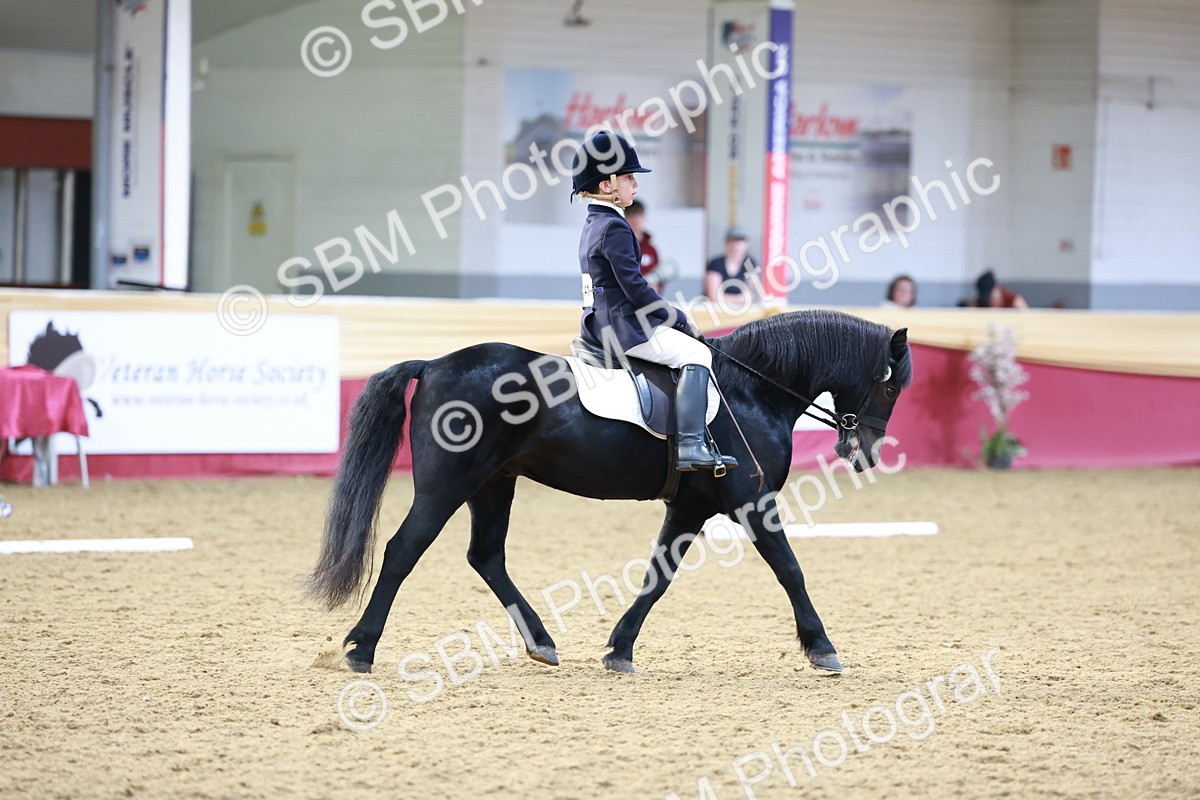 SBM_09209 - Class 61 - Dressage to Music