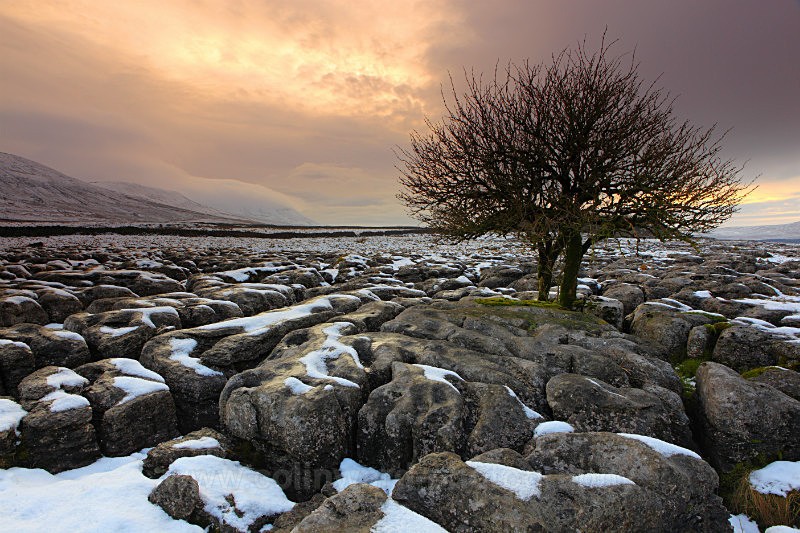 Winter Limestone pavement near Ingleborough, Yorkshire Dales. ref 9253 - The Pennines and Cumbria
