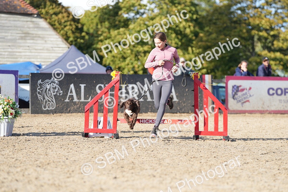 SBM_28959 - J43 - Horse & Hound Open 50cm