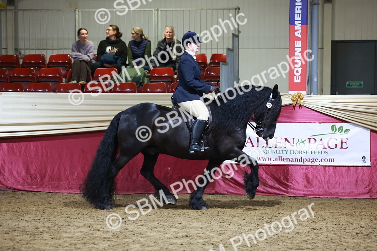 SBM_21549 - Class V - Champion of Champions