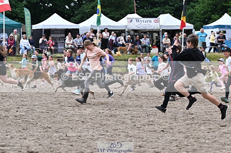 250524A-152736-12764 - East Devon Hounds