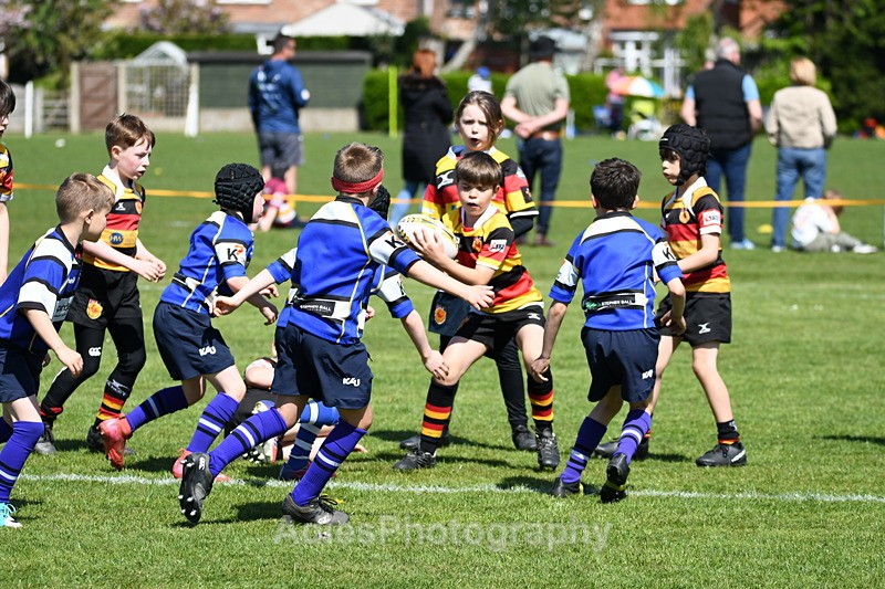  - Selby Rugby Festival 2025