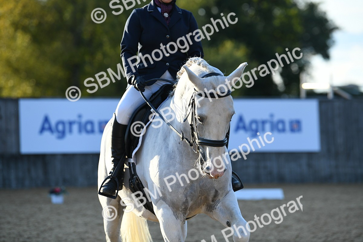 SBM_30902 - D16 - Small Tour Championship - Novice 28