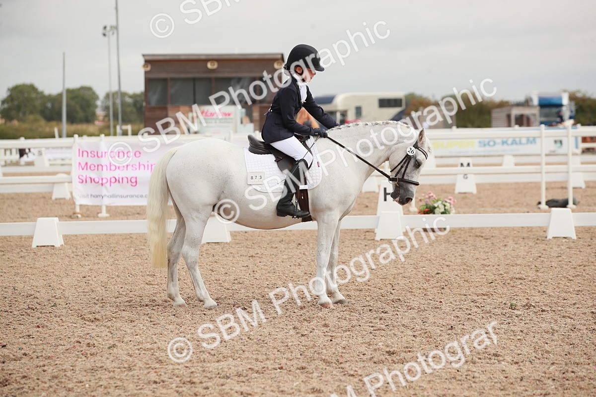 SBM_02590 - Class 30 - Intro 1