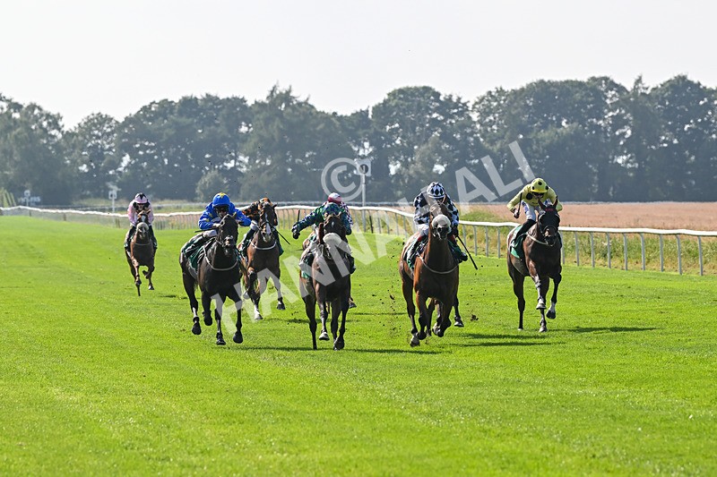 300824-Race 4-Tinto-5951 - Race 4