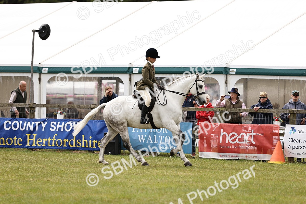 SBM_14589 - Class 88-89 - LIHS BSHA Rising Star of Ridden Hunter Type