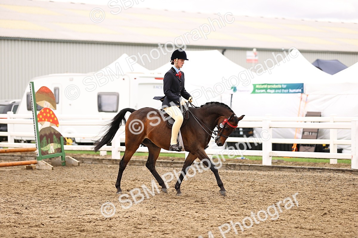 SBM_01335 - Class 54 - Riding Club Horse Pony