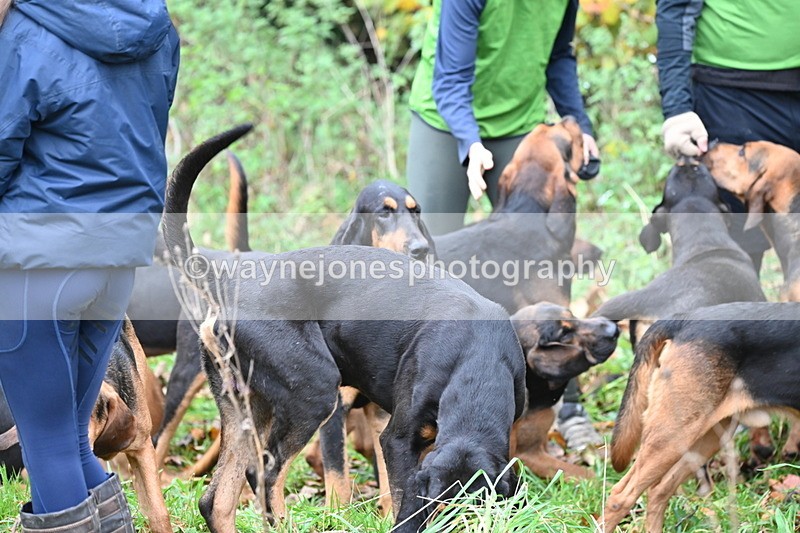 WJ6_8637 - Meet