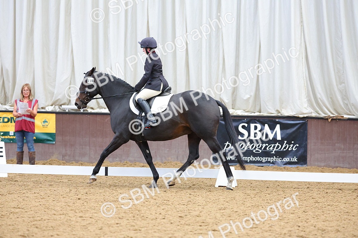 SBM_002061 - Class 5 - Novice 3