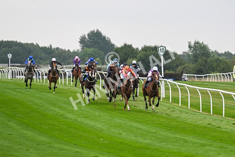 190824-Race 1-Shes A Novelty-3259 - Race 1