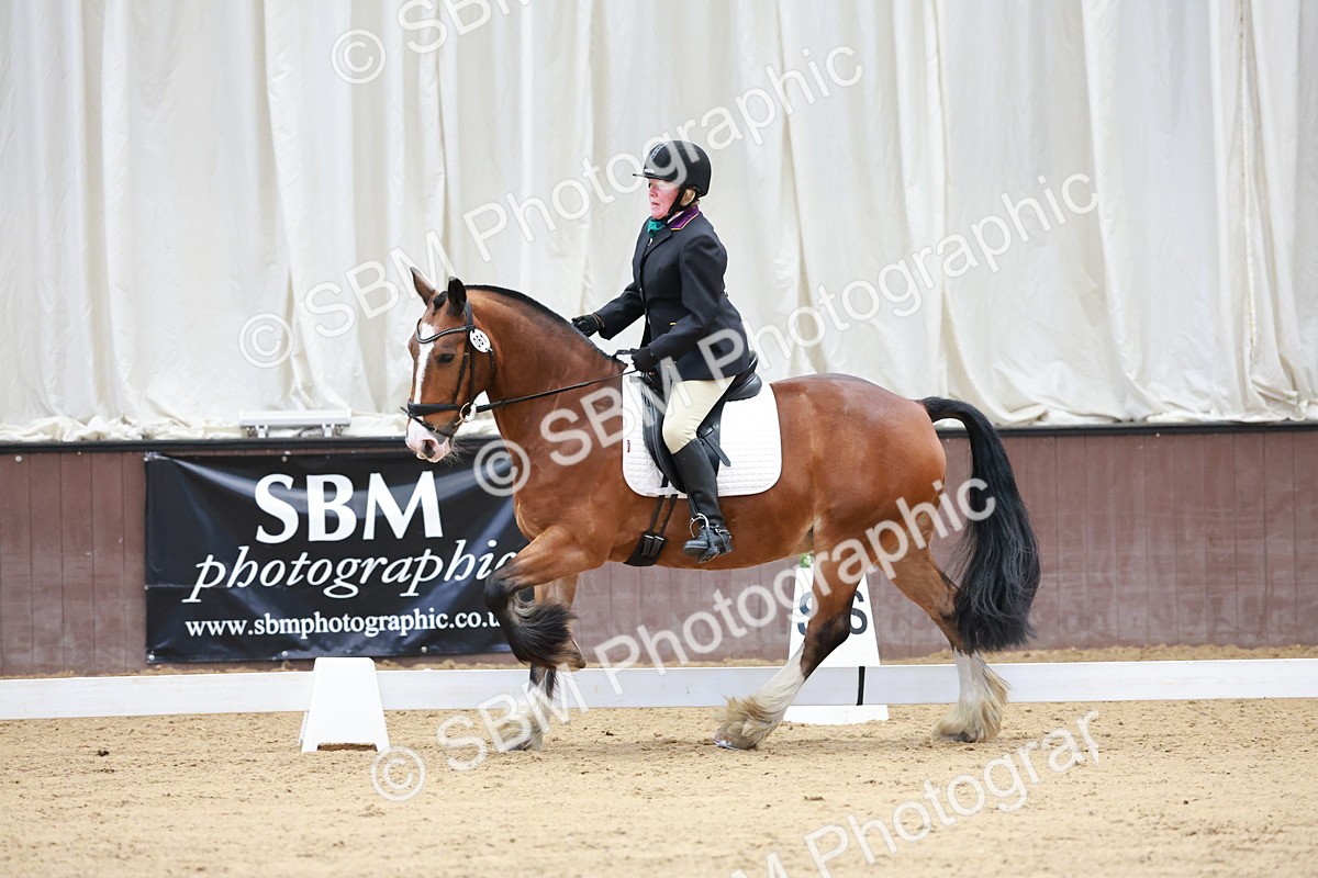 SBM_008103 - Class 6b - Novice 6 - 9.28-10.41