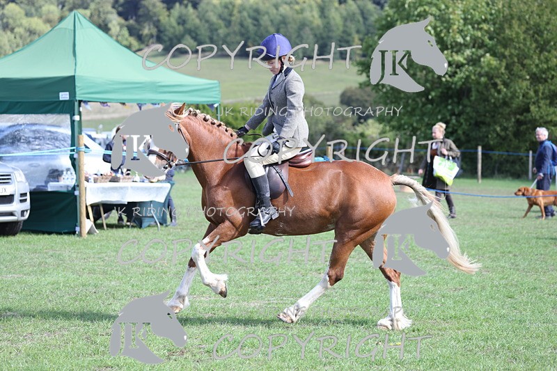 APP_3127 - Class 11 Veterans ridden