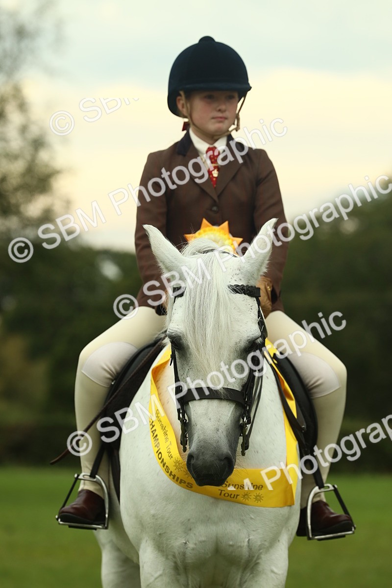SBM_72319 - S60 - Mountain & Moorland Ridden Large Breeds
