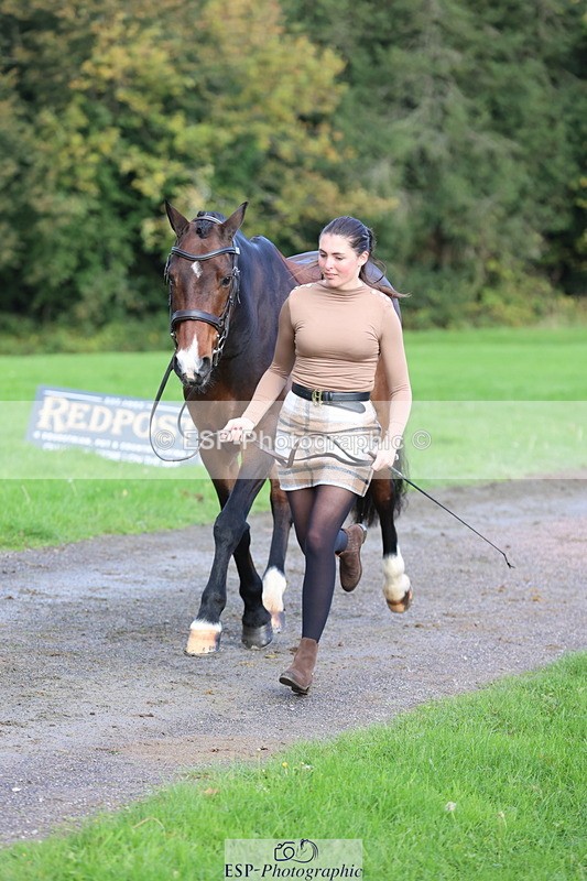 251026A-101959-22893 - D-354-Poppy.Burner