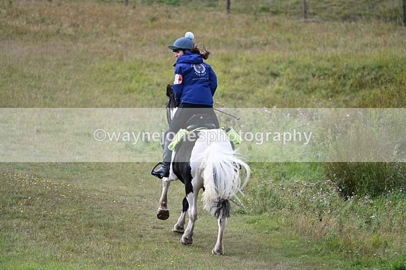 WJ7_5973 - Time 11:50 to 12:09