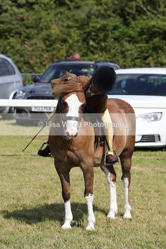 1X9A5736 - Class 40: NPS Welsh A & B