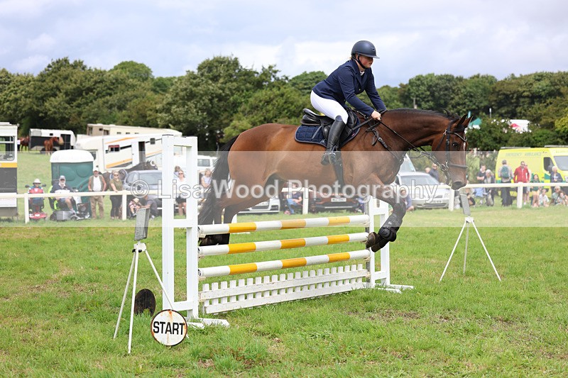 3E7A7390 - Class 5: Senior British Novice/90cm open