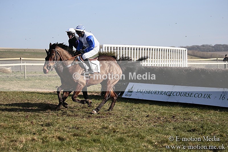 PtP 240218 358 - Vine & Craven Hunt Point-to-Point Barbury racecourse 24/02/18