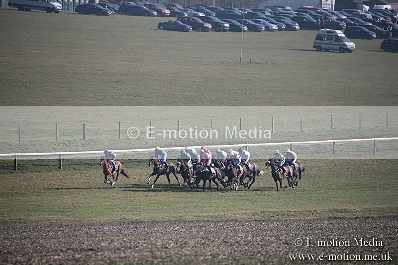 PtP 230219 199 - Vine & Craven Point-To-Point - Barbury 23/02/19