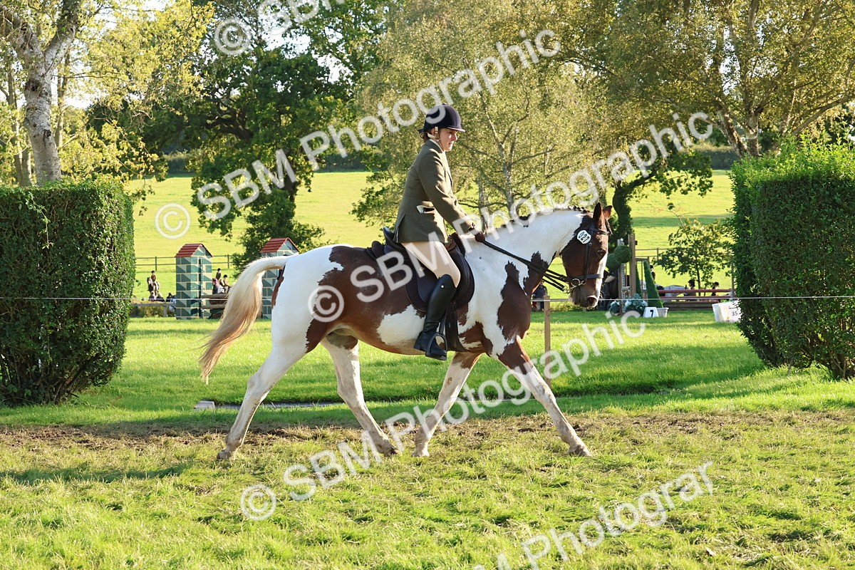 SBM_52997 - S29 - Mature Veteran Ridden