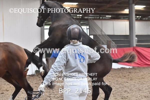 BPP_2145 - AFTERNOON 12.30 - 3.30PM