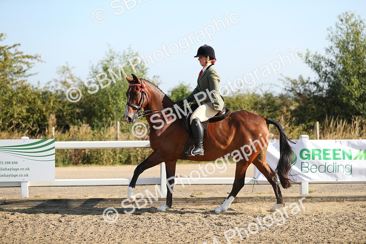 SBM_01147 - Class 42 Ridden Veteran