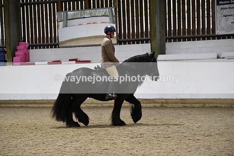 WJ5_8610 - Class 14 Novice Ridden/Rider