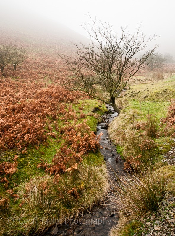 Minton Batch - The Long Mynd