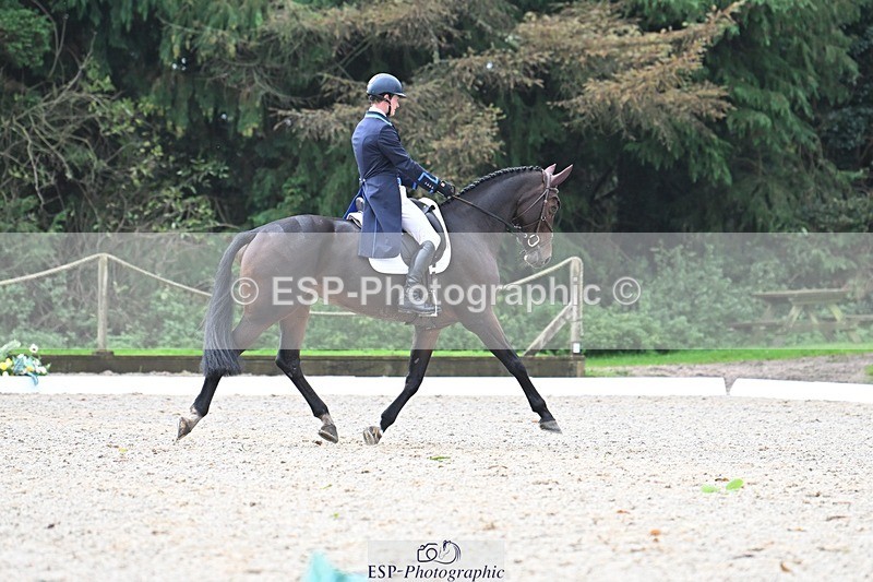 231019-103039-01581 - 031-ARIELLA-Morgan.Wyatt-DR