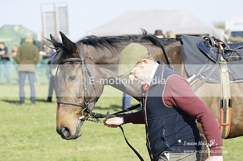 PtP 190322 641 - Wilton Hunt PtP Milborne St Andrew 19/03/22