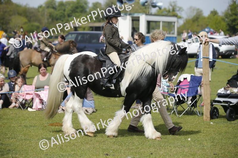 20260426-1842 - Class 7 - Pony Judge Would Most Like To Take Home