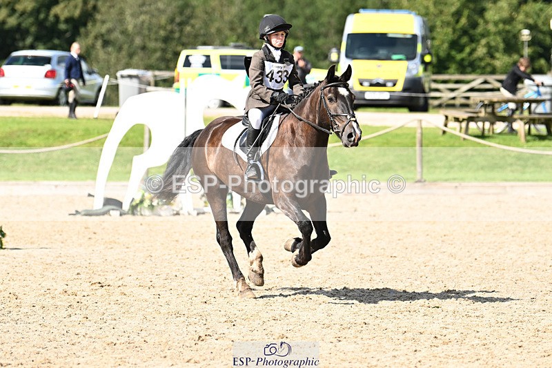 240824X-150642-29573 - 80cm Round 2 14.30 to 15.30