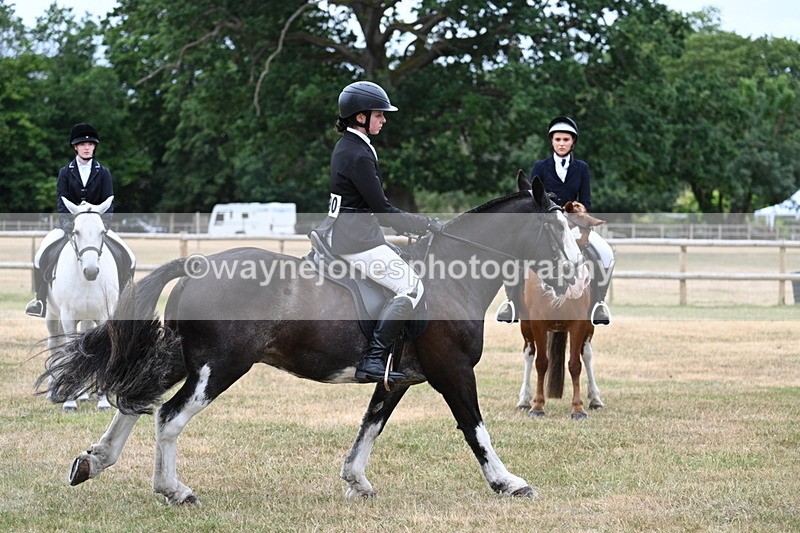 WJ7_0328 - Class 2 Best rider