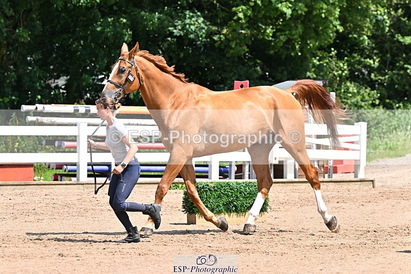 240718A-105248-01189 - Trot Up 12pm to 1pm