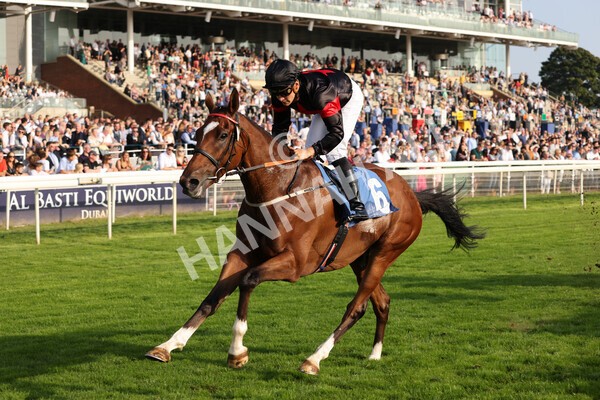 yr05092021r7-27 - Race 7 5.10pm Yorkshire Regiment Stakes