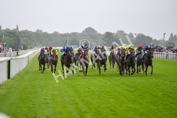 130724-Race 3-Enfjaar-7215 - Race 3 3.10pm John Smith's Cup Handicap