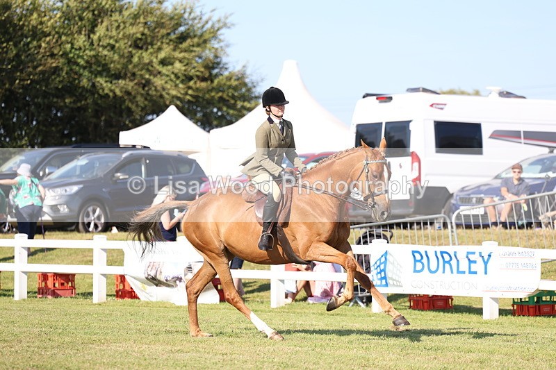 3E7A5542 - Class 2: Rising Star Large Hack/Riding Horse