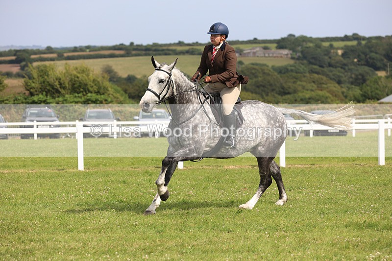 JPP_3996 - Class 24: Working Hunter 90cm
