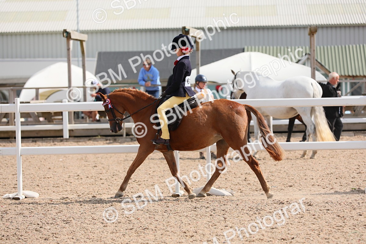 SBM_14759 - Class 310 First Ridden Pony