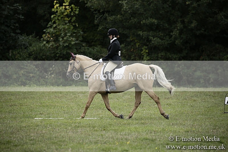 BVR080918 296 - BVRC Novice Dressage & CR 08/09/18