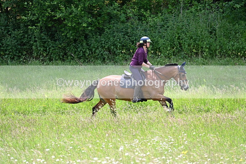 WJ7_8836 - Group 4 11am